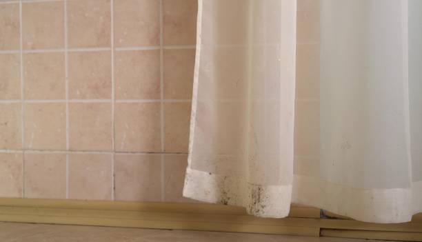 Best Air Quality Testing for Mold Spores  in Orchard Mesa, CO