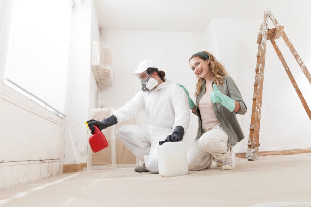 Reliable Orchard Mesa, CO Mold Removal Solutions